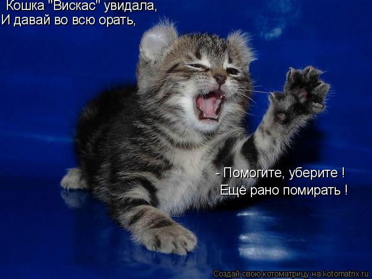 Котоматрица: Кошка "Вискас" увидала, И давай во всю орать, - Помогите, уберите ! Ещё рано помирать !