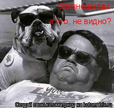 Котоматрица: близнецы мы...  а что, не видно?