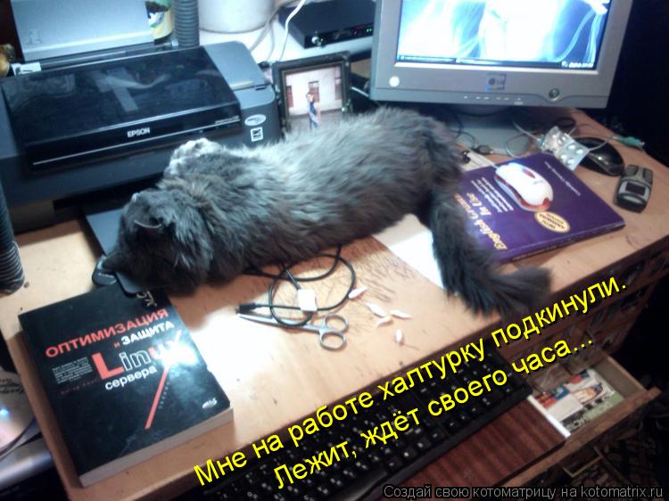 Мне на работе халтурку подкинули. Лежит, ждёт своего часа...... Котоматрица: Мне на работе халтурку подкинули. Лежит, ждёт своего часа...