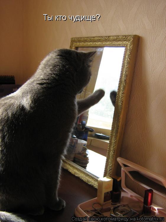 Котоматрица: Ты кто чудище?