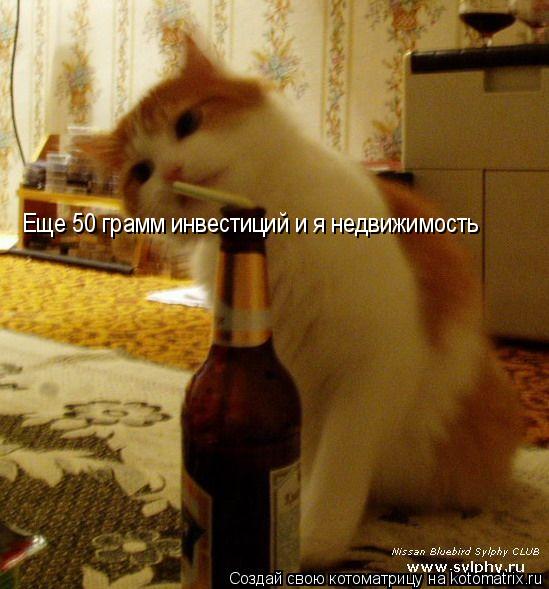 Котоматрица: Еще 50 грамм инвестиций и я недвижимость