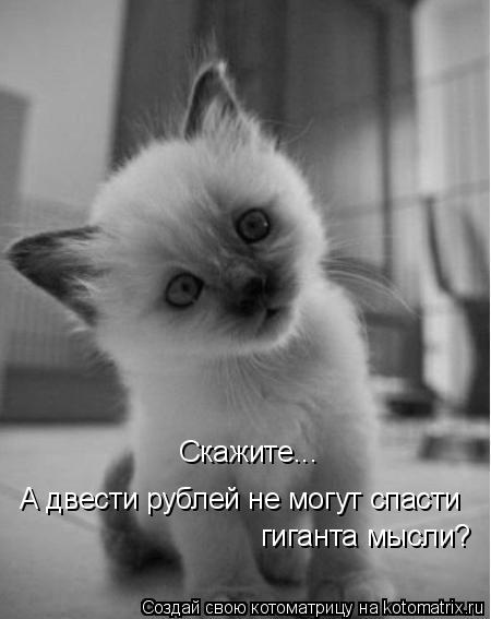 Котоматрица: Скажите...  А двести рублей не могут спасти   гиганта мысли?