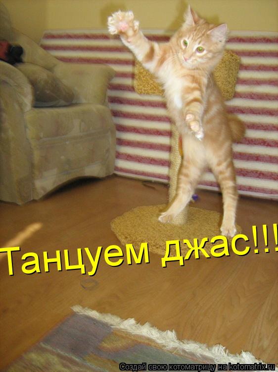 Котоматрица: Танцуем джас!!!
