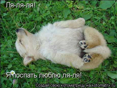 Ля-ля-ля! Я поспать люблю ля-ля!... Котоматрица: Ля-ля-ля! Я поспать люблю ля-ля!