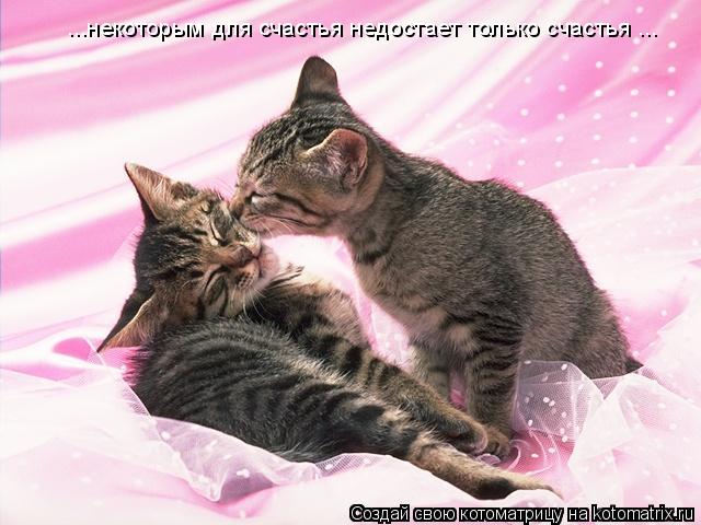 ...некоторым для счастья недостает только счастья ...... Котоматрица: ...некоторым для счастья недостает только счастья ...