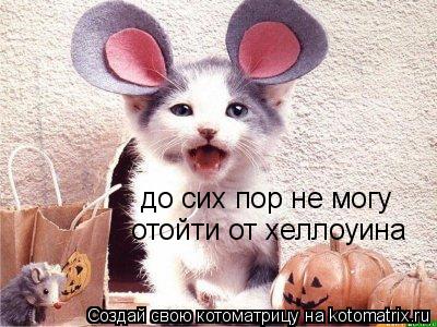 Котоматрица: до сих пор не могу  отойти от хеллоуина
