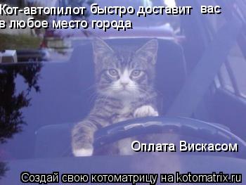 Кот-автопилот быстро доставит вас в любое место города Оплата Вискасом... Котоматрица: Кот-автопилот быстро доставит вас в любое место города Оплата Вискасом