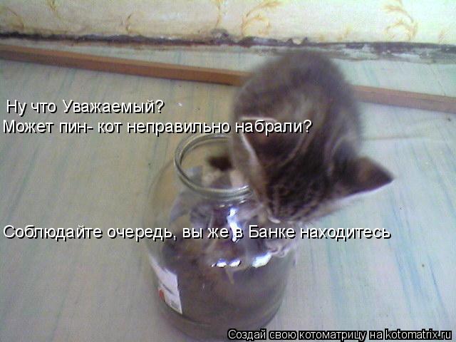 Котоматрица: Ну что Уважаемый?  Может пин- кот неправильно набрали? Соблюдайте очередь, вы же в Банке находитесь