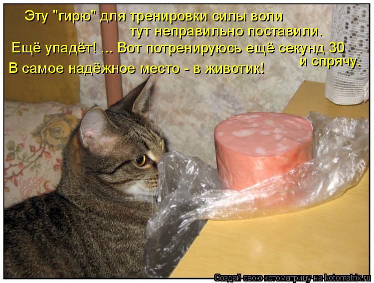 Котоматрица: Эту "гирю" для тренировки силы воли  тут неправильно поставили. Ещё упадёт! ... Вот потренируюсь ещё секунд 30  и спрячу.  В самое надёжное место