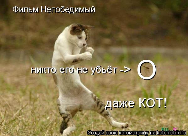 Фильм Непобедимый О никто его не убьёт -> даже КОТ!... Котоматрица: Фильм Непобедимый О никто его не убьёт -> даже КОТ!