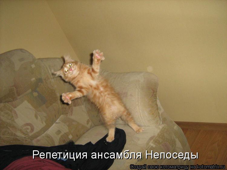 Репетиция ансамбля Непоседы... Котоматрица: Репетиция ансамбля Непоседы