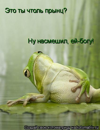 Котоматрица: Ну насмешил, ей-богу! Ну насмешил, ей-богу! Это ты чтоль прынц? Это ты чтоль прынц? Это ты чтоль прынц?