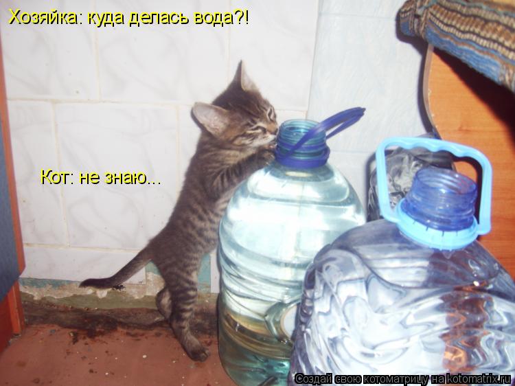 Хозяйка: куда делась вода?! Кот: не знаю...... Котоматрица: Хозяйка: куда делась вода?! Кот: не знаю...