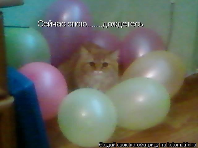 Котоматрица: Сейчас спою.......дождетесь