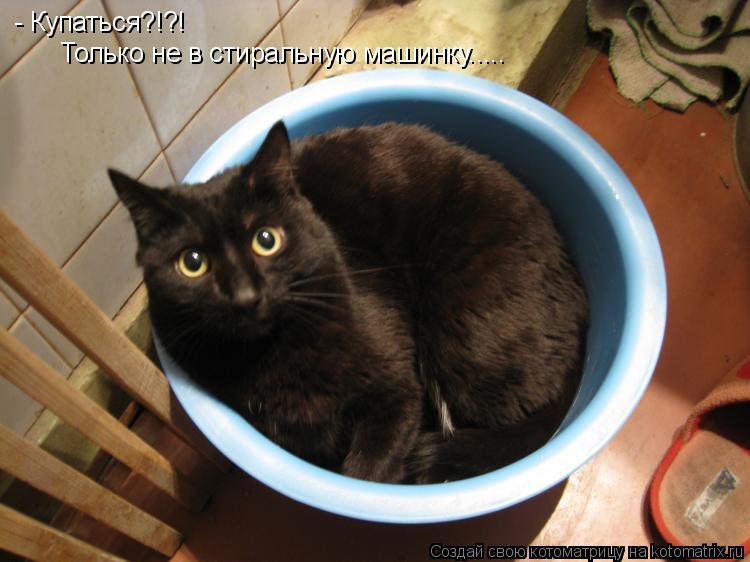 Котоматрица: - Купаться?!?! Только не в стиральную машинку.....
