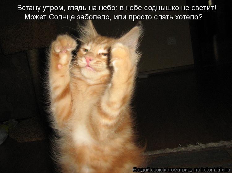 Встану утром, глядь на небо: в небе соднышко не светит! Может Солнце заболело, или просто спать хоте... Котоматрица: Встану утром, глядь на небо: в небе соднышко не светит! Может Солнце заболело, или просто спать хотело?