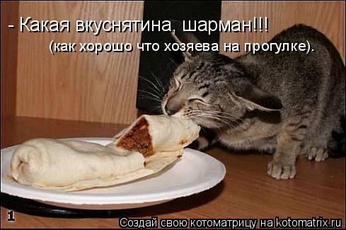 Котоматрица: - Какая вкуснятина, шарман!!! (как хорошо что хозяева на прогулке).