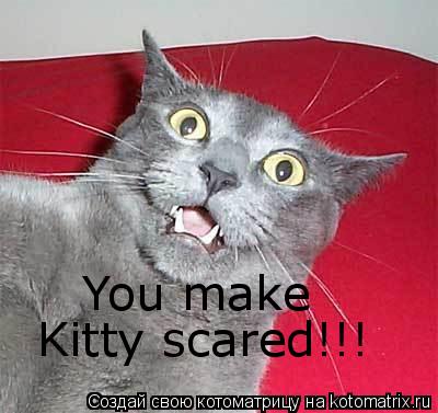 Котоматрица: You make Kitty scared!!!