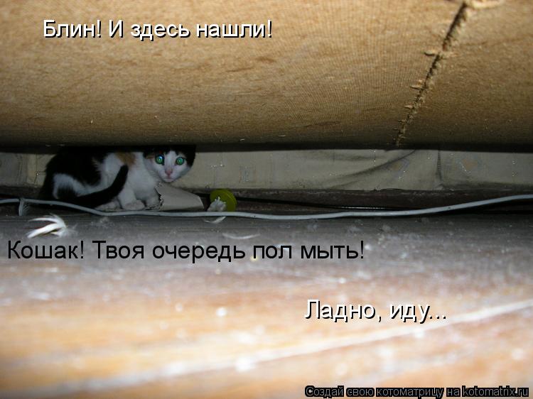 Котоматрица: Блин! И здесь нашли!  Кошак! Твоя очередь пол мыть! Ладно, иду...