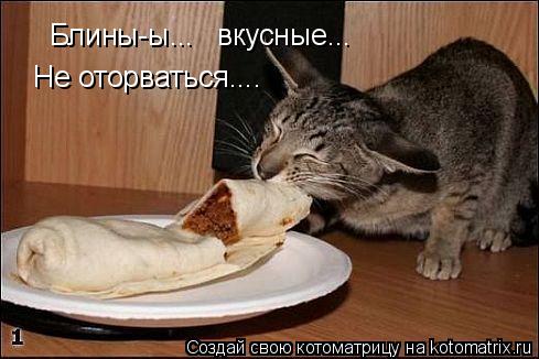 Котоматрица: Блины-ы... Не оторваться.... вкусные...
