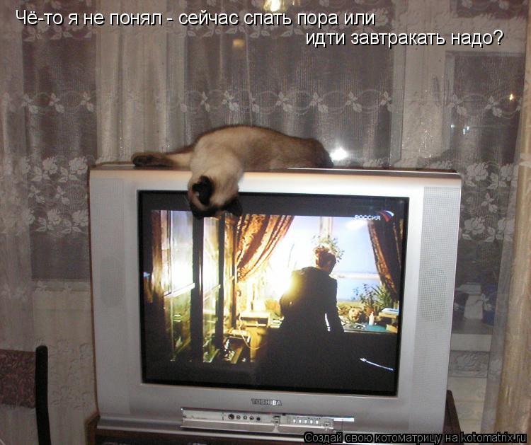 Котоматрица: Чё-то я не понял - сейчас спать пора или  идти завтракать надо?