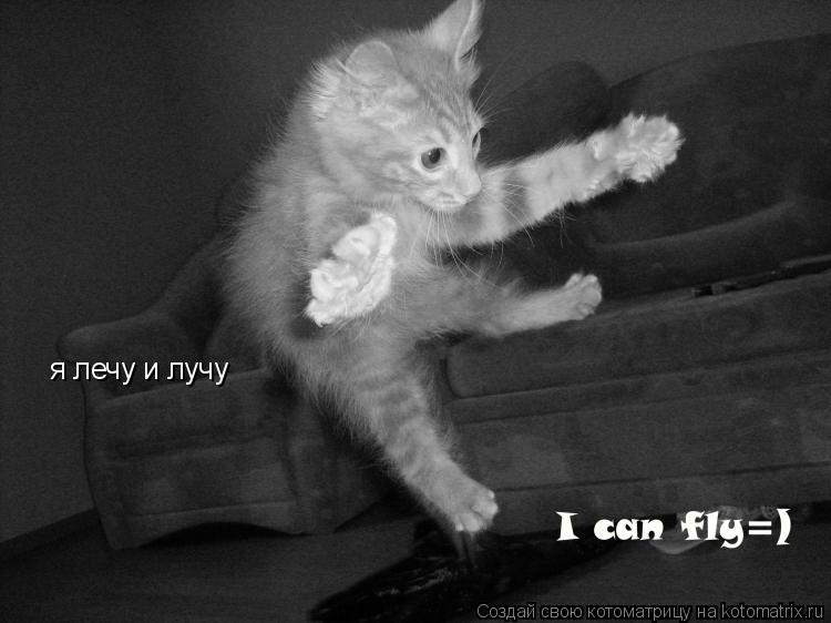 я лечу и лучу... Котоматрица: я лечу и лучу