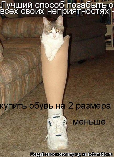 Котоматрица: Лучший способ позабыть о всех своих неприятностях - купить всех своих неприятностях - купить купить обувь на 2 размера меньше  меньше