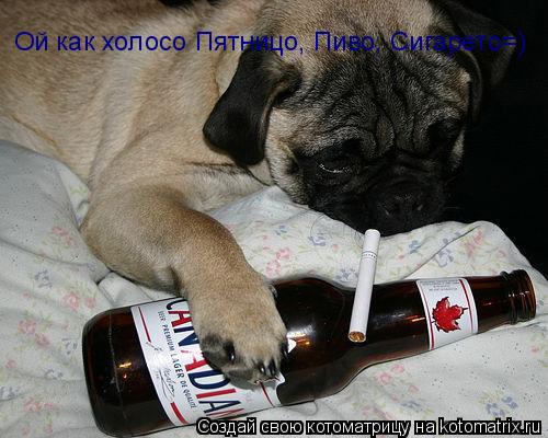 Котоматрица: Ой как холосо Пятницо, Пиво, Сигарето=)