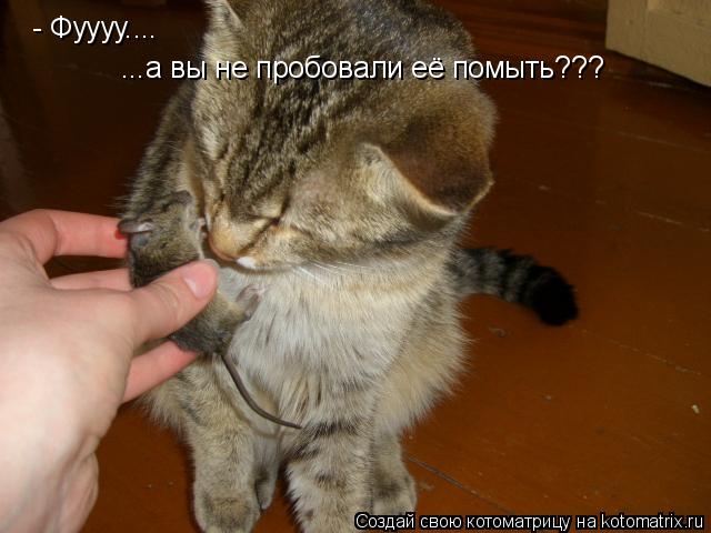 Котоматрица: - Фуууу....  ...а вы не пробовали её помыть???