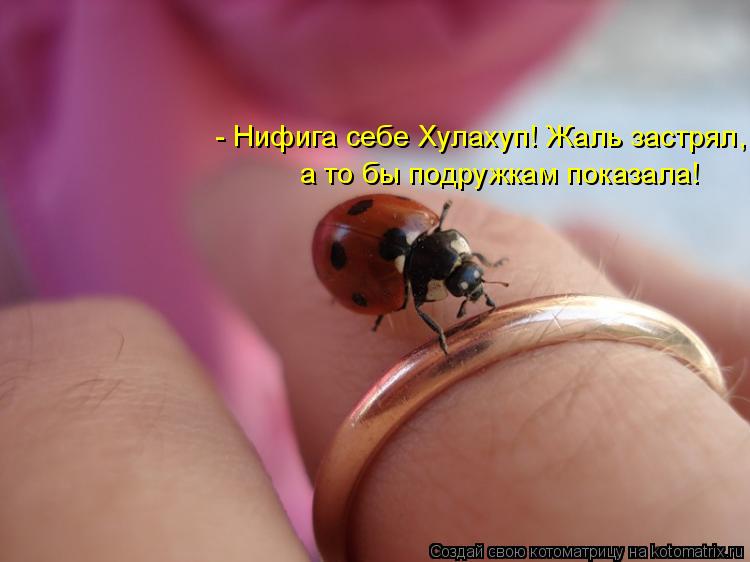 - Нифига себе Хулахуп! Жаль застрял, а то бы подружкам показала!... Котоматрица: - Нифига себе Хулахуп! Жаль застрял, а то бы подружкам показала!