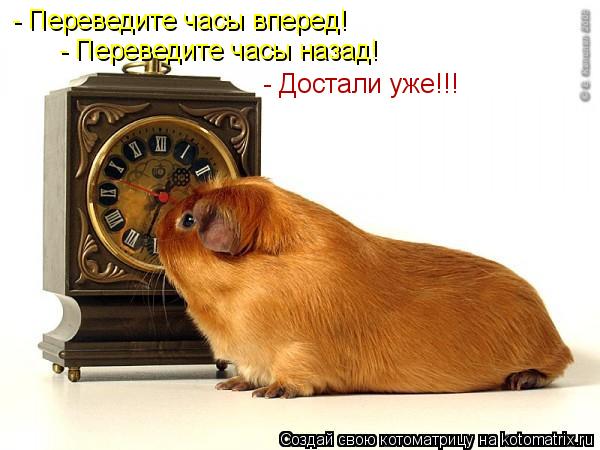 Котоматрица: - Переведите часы вперед! - Переведите часы назад! - Достали уже!!!