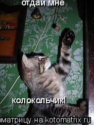 Котоматрица: отдай мне колокольчик!