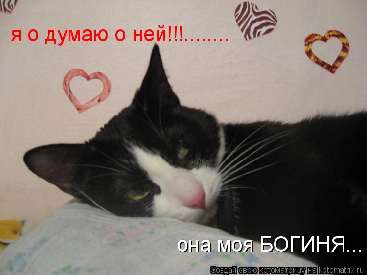 Котоматрица: я о думаю о ней!!!........ она моя БОГИНЯ...