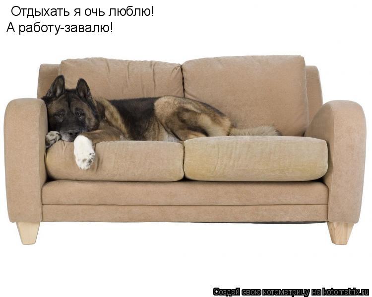 Котоматрица: Отдыхать я очь люблю! А работу-завалю!