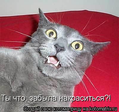 Ты что, забыла накраситься?!... Котоматрица: Ты что, забыла накраситься?!