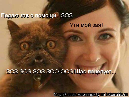 Котоматрица: Подаю зов о помощи...SOS Ути мой зая! SOS SOS SOS SOO-OOS!Щас поцелует...