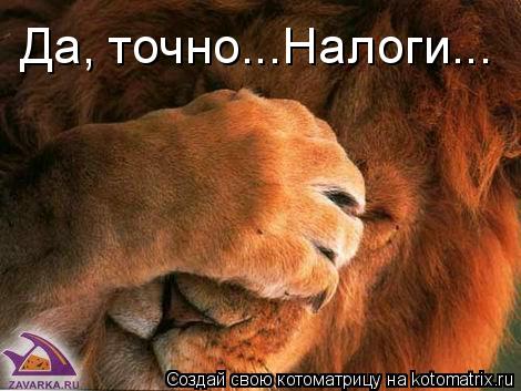 Котоматрица: Да, точно...Налоги...