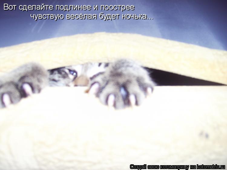 Вот сделайте подлинее и поострее чувствую весёлая будет ночька...... Котоматрица: Вот сделайте подлинее и поострее чувствую весёлая будет ночька...