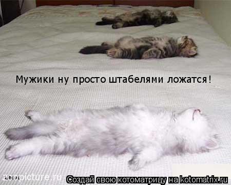 Мужики ну просто штабелями ложатся!... Котоматрица: Мужики ну просто штабелями ложатся!