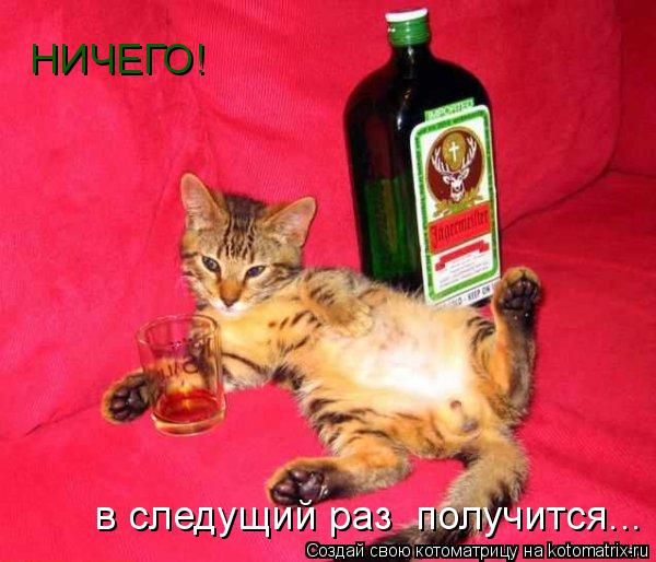 Котоматрица: НИЧЕГО! в следущий раз  получится...