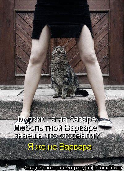 Котоматрица: Мурзик , а на базаре  Любопытной Варваре  знаешь что оторвали? Я же не Варвара