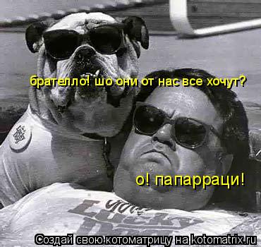 о! папарраци! брателло! шо они от нас все хочут?... Котоматрица: о! папарраци! брателло! шо они от нас все хочут?