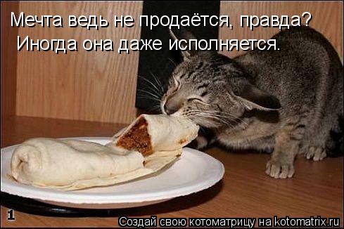 Котоматрица: Мечта ведь не продаётся, правда? Иногда она даже исполняется.