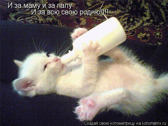 Котоматрица: И за маму и за папу И за всю свою родню!!!!