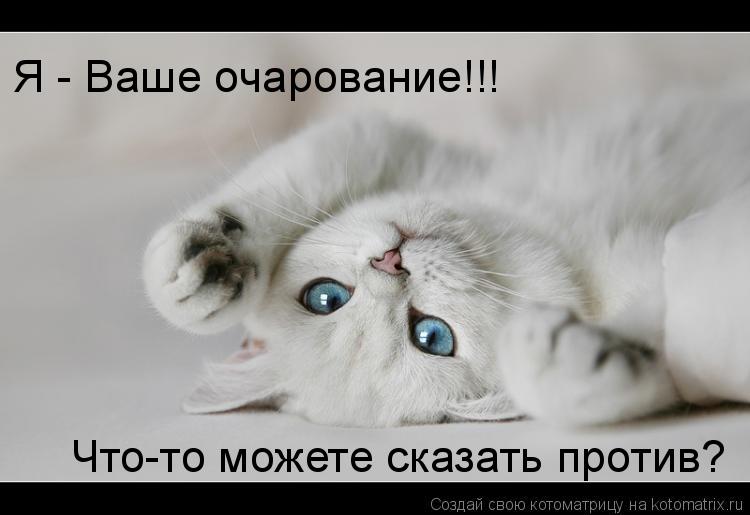 Я - Ваше очарование!!! Что-то можете сказать против?... Котоматрица: Я - Ваше очарование!!! Что-то можете сказать против?