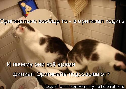 Котоматрица: Оригинально вообще то - в оригинал ходить И почему они всё время  филиал Оригинала подсовывают?