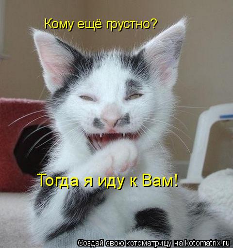 Котоматрица: Кому ещё грустно? Тогда я иду к Вам!