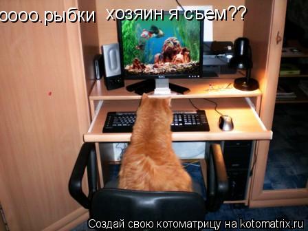 Котоматрица: оооо.рыбки   хозяин я съем??