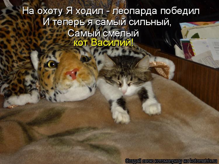 Котоматрица: На охоту Я ходил - леопарда победил И теперь я самый сильный, Самый смелый кот Василий!