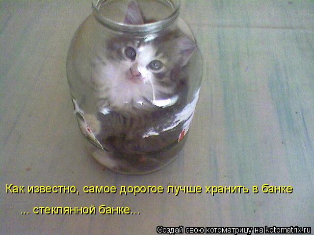 Котоматрица: Как известно, самое дорогое лучше хранить в банке ... стеклянной банке...
